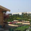 Master Garden Oradea (Aquaplant Srl) Master Garden Oradea (Aquaplant Srl)