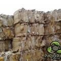 Sc Pajurca Metal Group Srl Oradea (Pajurca Metal Group Srl)
